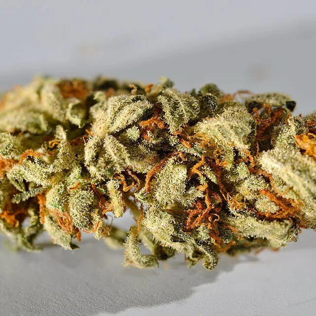 CBD-Blüten Strawberry Kush