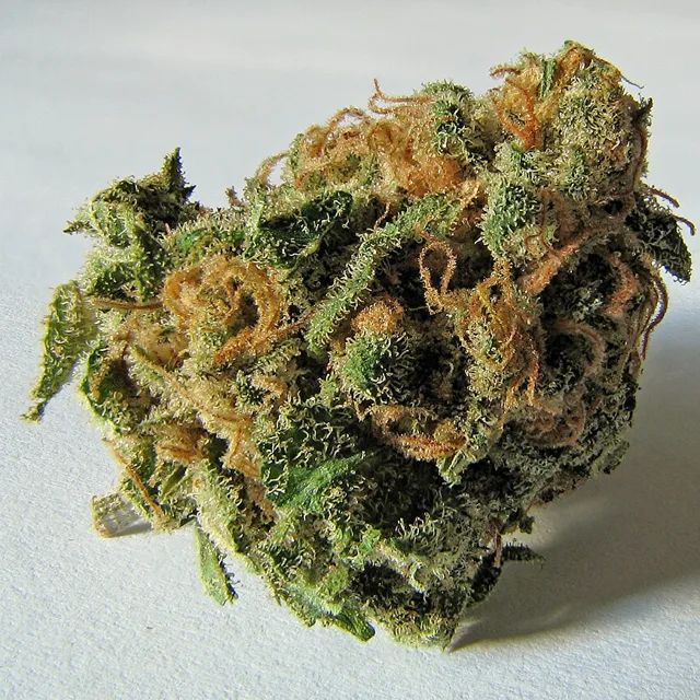 CBD-Blüten Lemon Haze