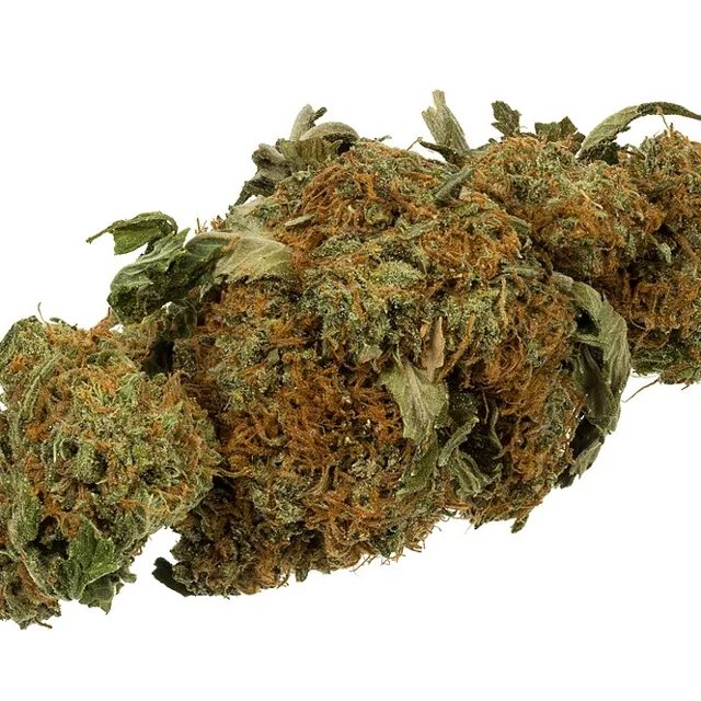 CBD-Blüten OG Kush