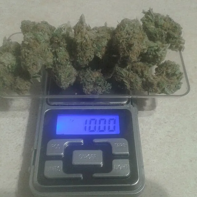CBD-Blüten Critical Kush